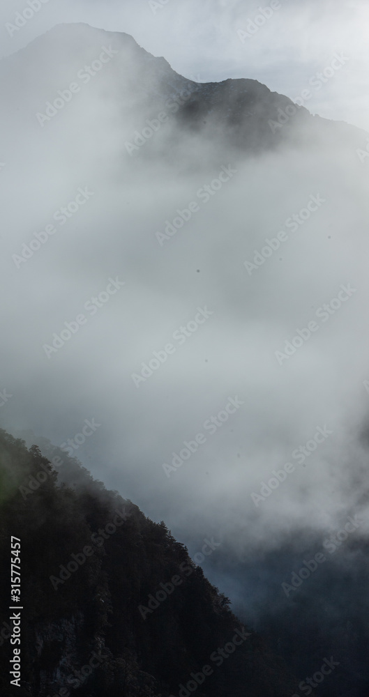 Doubtfull Sound. Fjordland. South Island New Zealand.