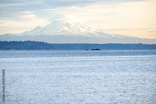 shoreline on bainbridge island with glow from the setting sun