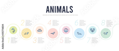 animals concept infographic design template. included pallas cat, philippine tarsier, polecat, puffer, raven, roe icons