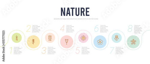 nature concept infographic design template. included hypericum, iris, jasmine, jonquil, knapweed, larch icons