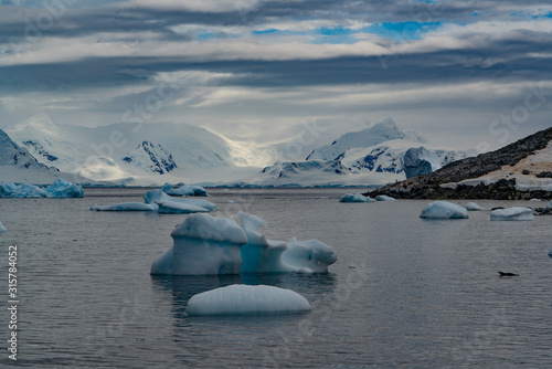 Icebergs in antartic