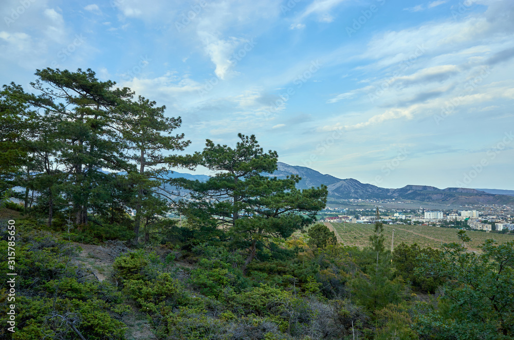 View of the city of Sudak and the Black Sea coast from a height. Mountain coniferous forest, Republic of Crimea View of the city of Sudak and the Black Sea coast from a height. Mountain coniferous forest, Republic of Crimea