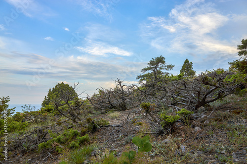 Obraz na płótnie Mountain vegetation landscape. The rocky coast of the Black Sea. Cape Alchak in Sudak, Crimea w salonie
