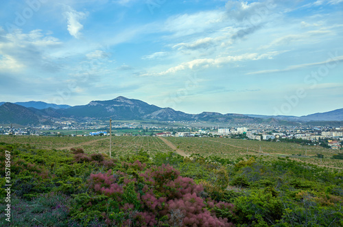 Obraz na płótnie View of the city of Sudak and the Black Sea coast from a height. Vineyard. Mountain coniferous forest, Republic of Crimea w salonie