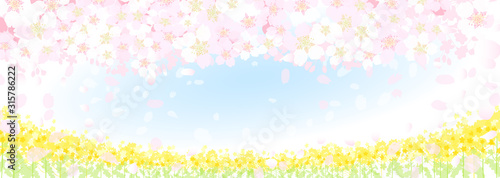 桜　菜の花　春の空