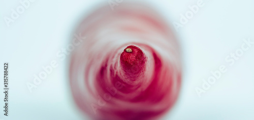 Macro photo of a red hot chili pepper. Focus on the tip of the chili. Side view, flat. Chili Saltillo (Capsicum Annum). White background.