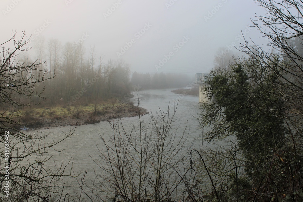 Fototapeta premium A Foggy Morning