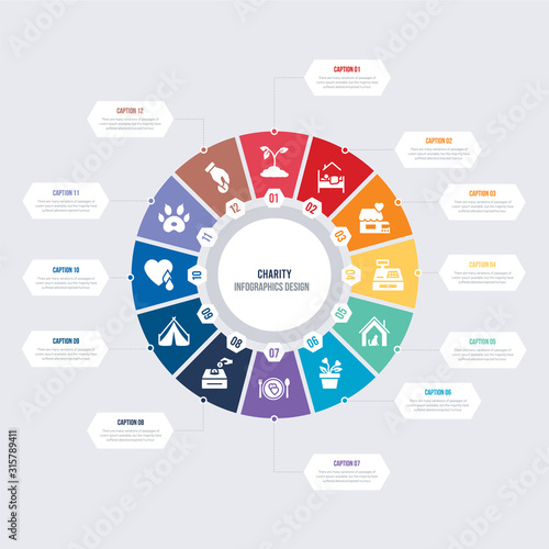 round 12 options charity infographic template design. charity app, dog pawprint, heart drop, shelter, donation box, charity food vector icons