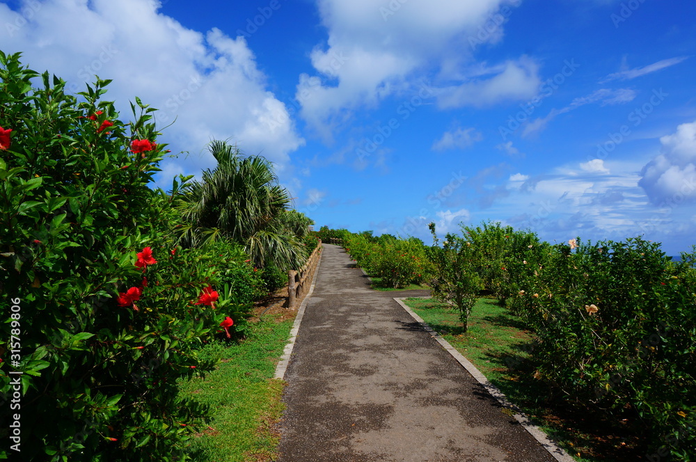 the beautiful landscape of ishigaki island in JAPAN