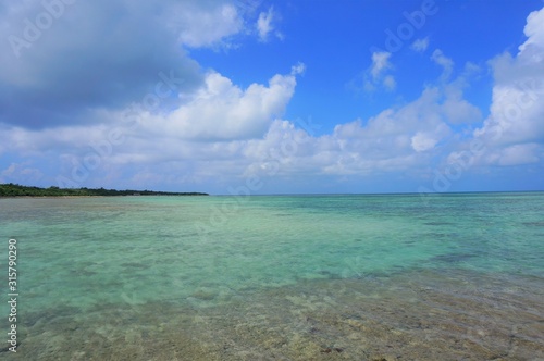 the beautiful beach of taketomi island in JAPAN