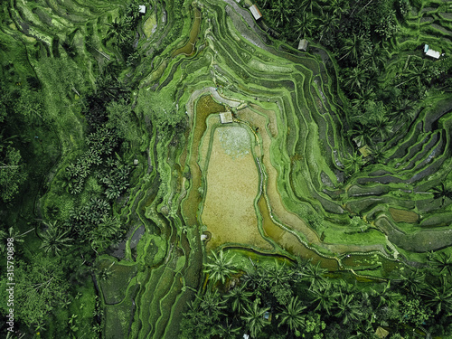 Birds eye view of green rugged hilly topography  photo