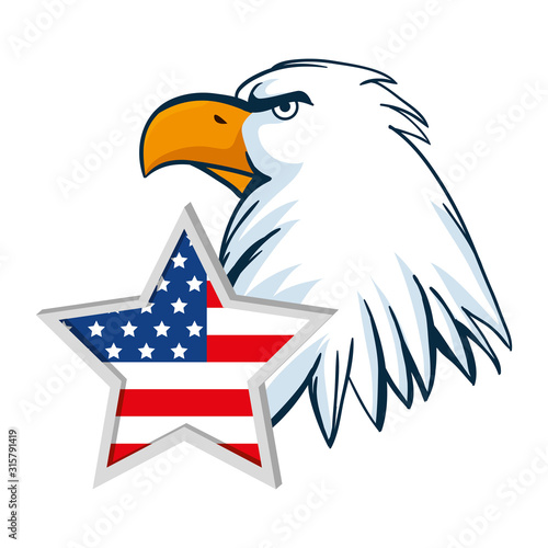 Isolated usa eagle and star vector design