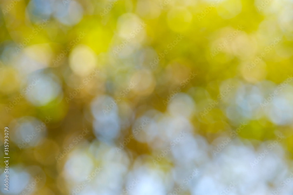 Bokeh of light nature,blured background,de focus.Sunlight shining through the leaves of trees.Abstract nature background, Nature green bokeh. Bokeh of light nature,blured background,de focus.Sunlight shining through the leaves of trees.Abstract nature background, Nature green bokeh.