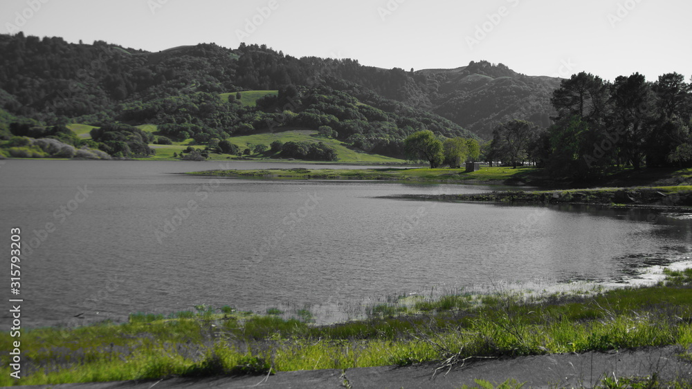 Fototapeta premium lake in the forest