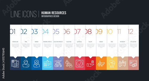 infographic design with 12 options. stroke line icons such as selection, selection process, personal profile, women, man, curriculum can be use for web and mobile