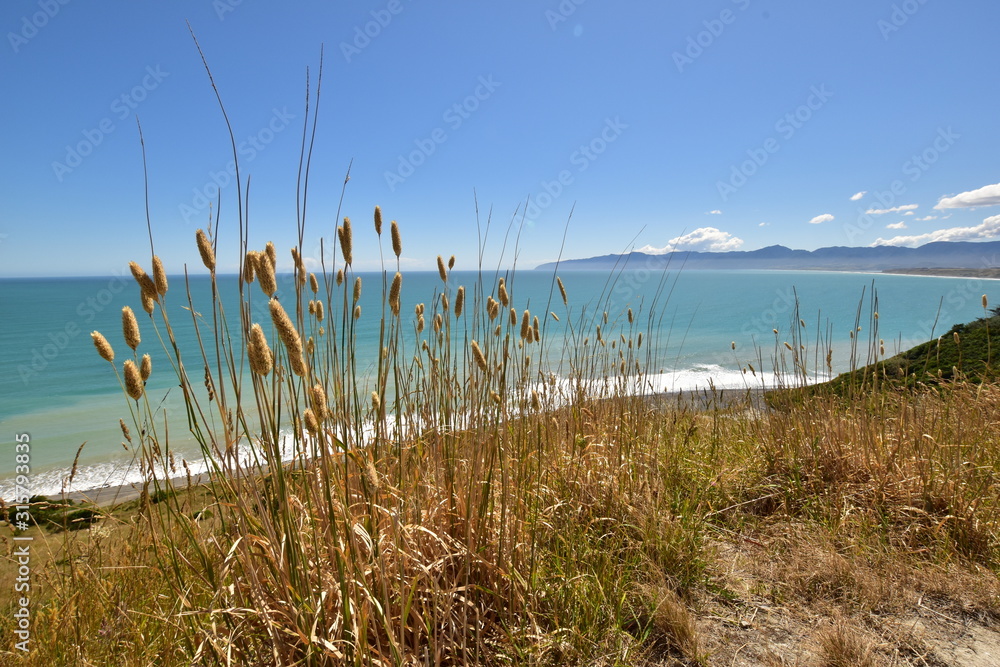 Cape Palliser view landscape with sea, mountains and long grass in the front
