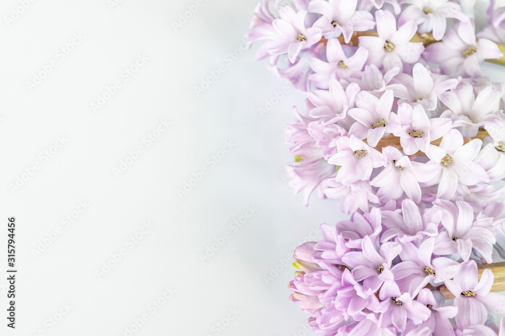 Romantic beautiful delicate soft color flowers for a wedding background.  Spring flowers lilac hyacinths close up on a white surface, free space for text. 