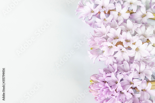 Romantic beautiful delicate soft color flowers for a wedding background.  Spring flowers lilac hyacinths close up on a white surface  free space for text. 