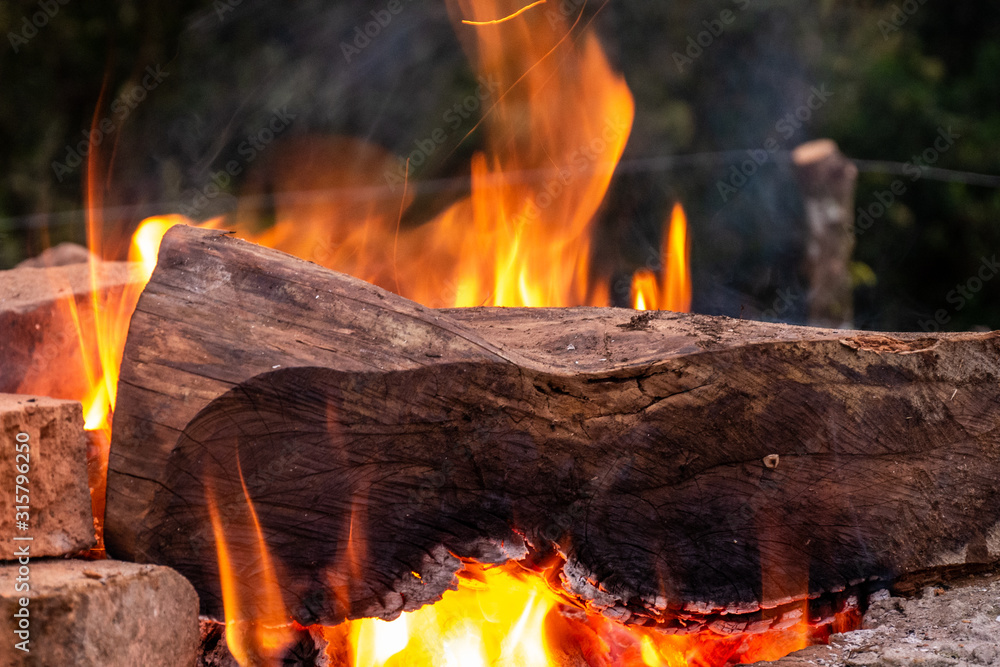 wood burning in campfire on bricks 3 wood burning in campfire on bricks 3