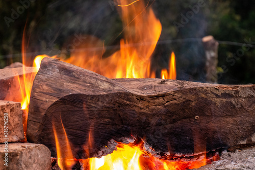 wood burning in campfire on bricks 3