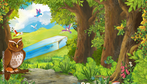 cartoon summer scene with bird eagle with meadow in the forest with birds flying with glass box illustration for children