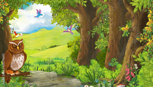 cartoon summer scene with bird eagle with meadow in the forest with birds flying illustration for children