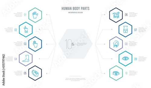 human body parts concept business infographic design with 10 hexagon options. outline icons such as eye with lashes, eye variant with enlarged pupil, face of a woman, female hips and waist, © zaurrahimov