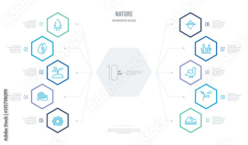 nature concept business infographic design with 10 hexagon options. outline icons such as waves, branch, bird, reed, iceberg, snail