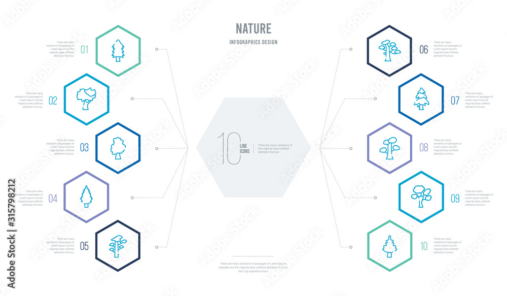nature concept business infographic design with 10 hexagon options. outline icons such as cucumber tree tree, american elm tree, slippery elm balsam fir pitch pine eastern cedar nature concept business infographic design with 10 hexagon options. outline icons such as cucumber tree tree, american elm tree, slippery elm balsam fir pitch pine eastern cedar