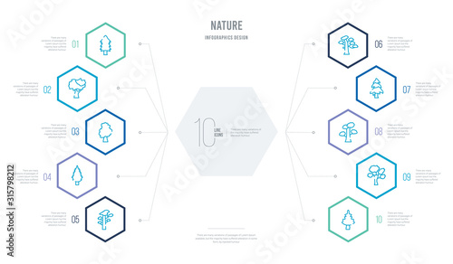 nature concept business infographic design with 10 hexagon options. outline icons such as cucumber tree tree, american elm tree, slippery elm balsam fir pitch pine eastern cedar