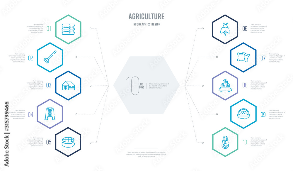 agriculture concept business infographic design with 10 hexagon options. outline icons such as seed bag, egg, bale, sack, bees, composter agriculture concept business infographic design with 10 hexagon options. outline icons such as seed bag, egg, bale, sack, bees, composter
