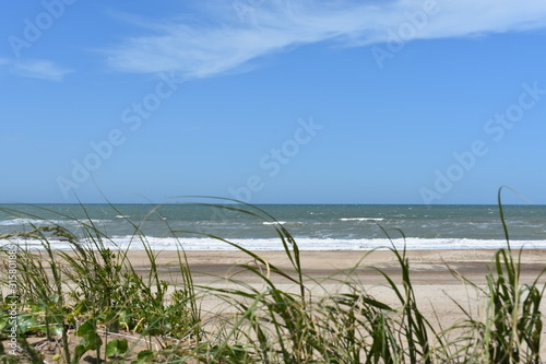 Fototapeta Naklejka Na Ścianę i Meble -  Grass, beach and blue sky