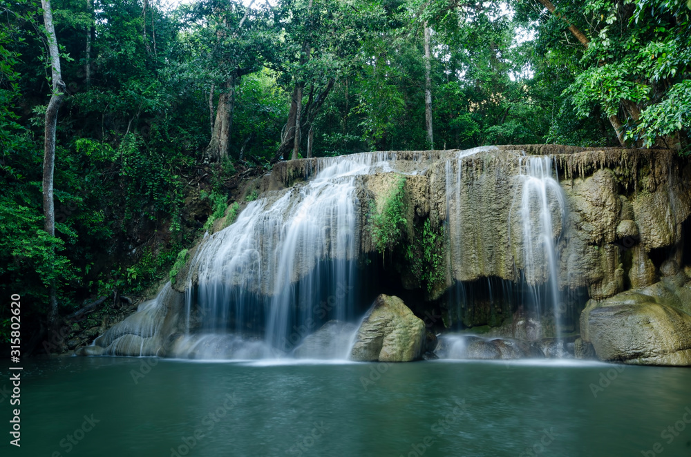 Fototapeta premium waterfall in forest