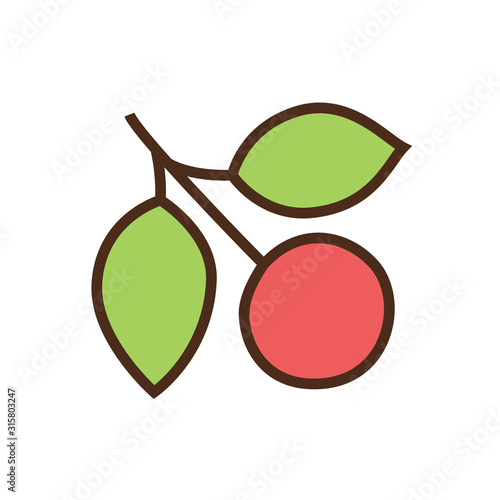 Color icon cherry