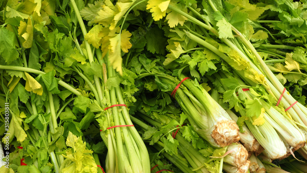 Obraz premium OLYMPUS DIGITAL CAMERA