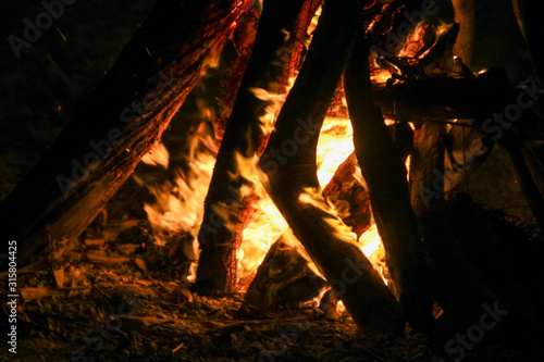 Wood burning in a bonfire