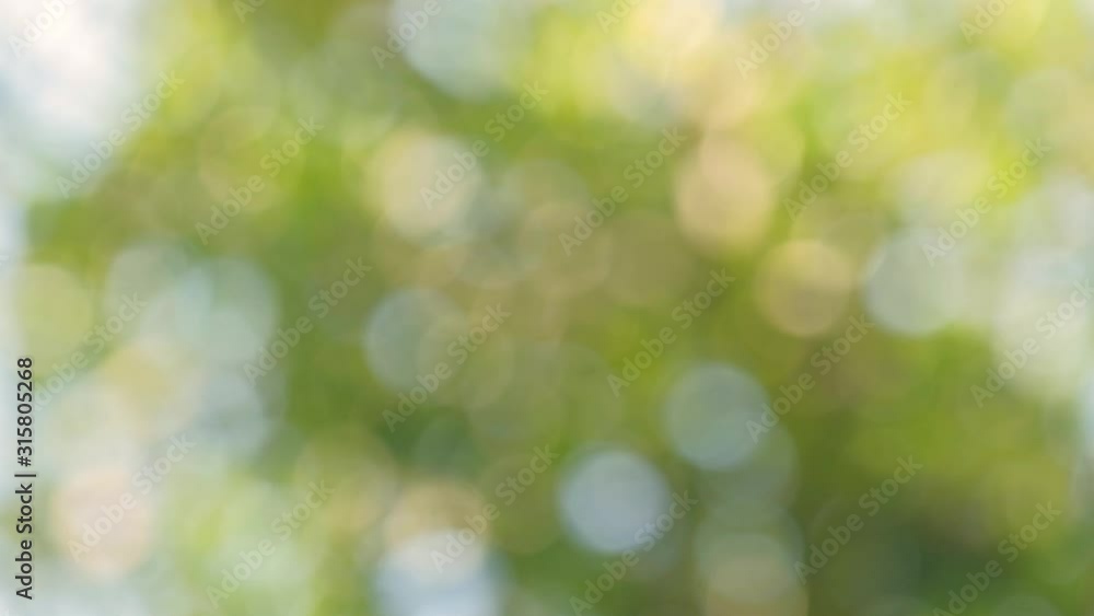 Bokeh of light nature,blured background,de focus.Sunlight shining through the leaves of trees.Abstract nature background, Nature green bokeh. Bokeh of light nature,blured background,de focus.Sunlight shining through the leaves of trees.Abstract nature background, Nature green bokeh.