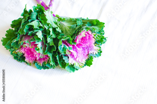 Flowering kale isolated on white background