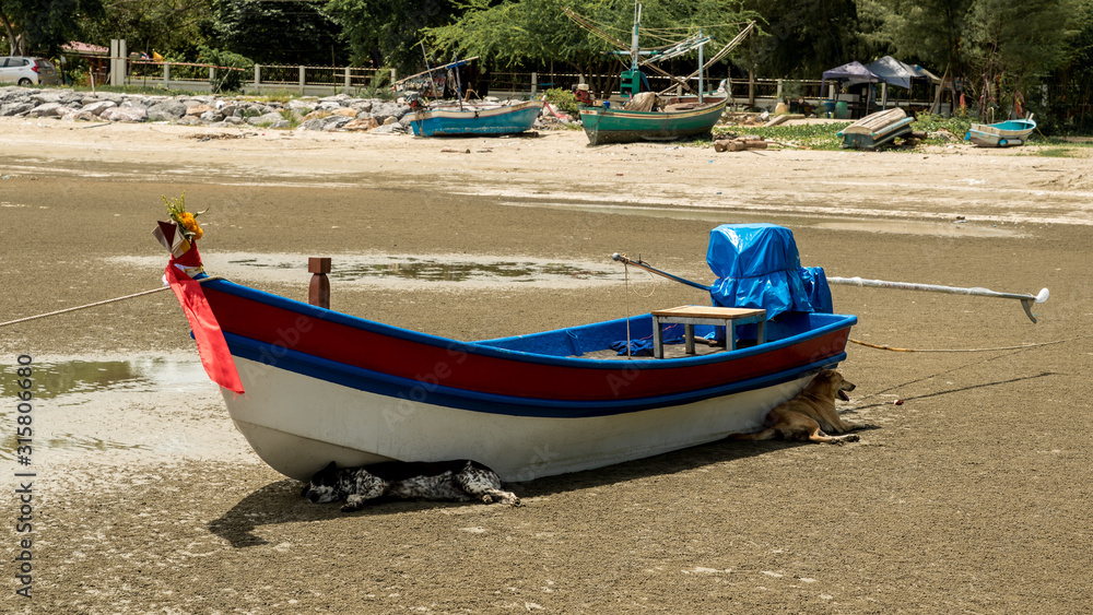 Two dogs laying in shade by fishing boat at Pak Nam Pram, Thailand Two dogs laying in shade by fishing boat at Pak Nam Pram, Thailand
