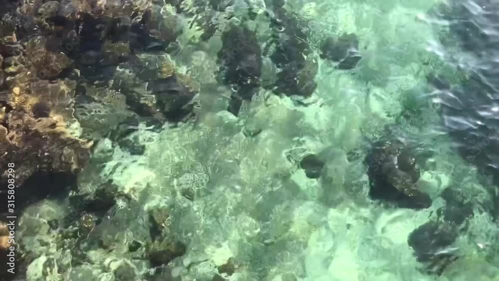 Shimmering Water Shimmering Water