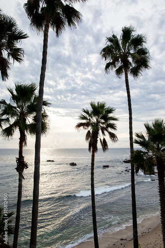 Palm trees with ocean, blue clouds and sunset in background