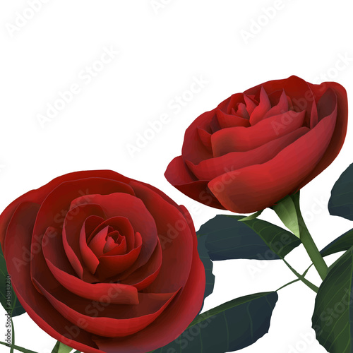 薔薇　正方形
