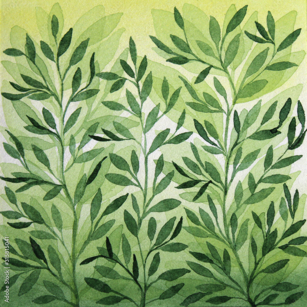 Watercolor hand-drawn illustration green leaves and flowers