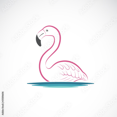 Fototapeta Naklejka Na Ścianę i Meble -  Vector of flamingo design on white background. Wild Animals. Birds. Easy editable layered vector illustration.