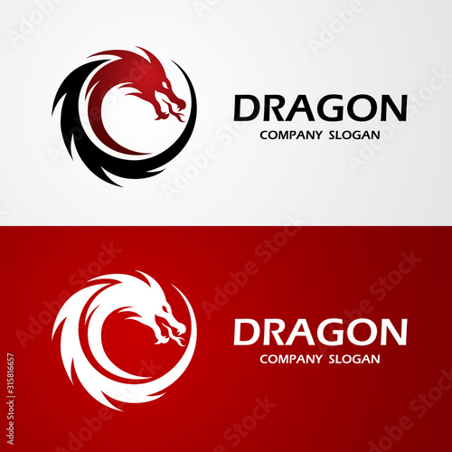 Dragon logo vector