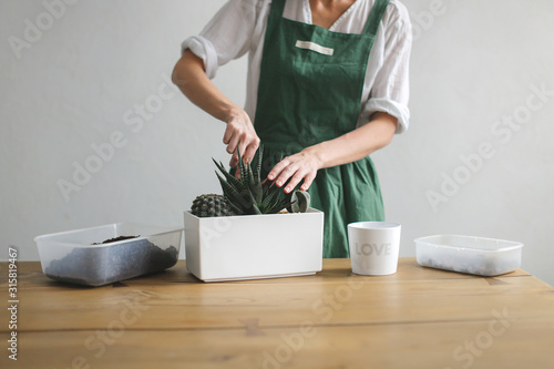 Lovely woman in green apron cares for home plants