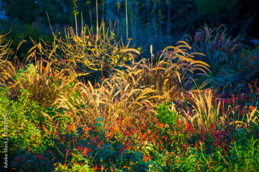 Obraz premium Tourists destination Barcelona, Spain. Barcelona is known as an Artistic city located in the east coast of Spain..