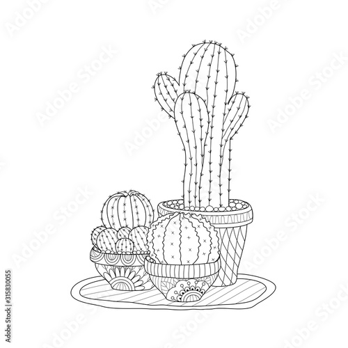 Cactus for adult and children coloring book. Handdrawn. vector illustration. photo