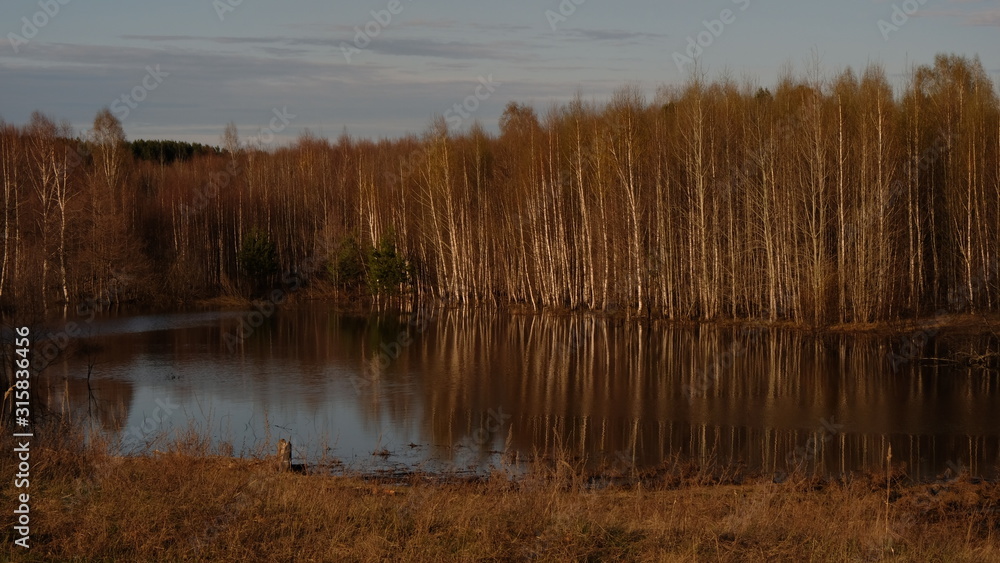 Flooding on the river in early spring in rural areas. Inundation. Naked earth after winter. Trees are reflected in the water Flooding on the river in early spring in rural areas. Inundation. Naked earth after winter. Trees are reflected in the water