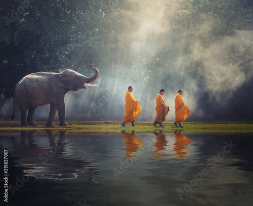 Thailand Buddhist monks walk collecting alms with elephant is traditional of religion Buddhism on faith Thai people